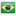 پرچم کشور brazil